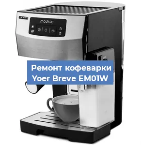 Замена прокладок на кофемашине Yoer Breve EM01W в Перми